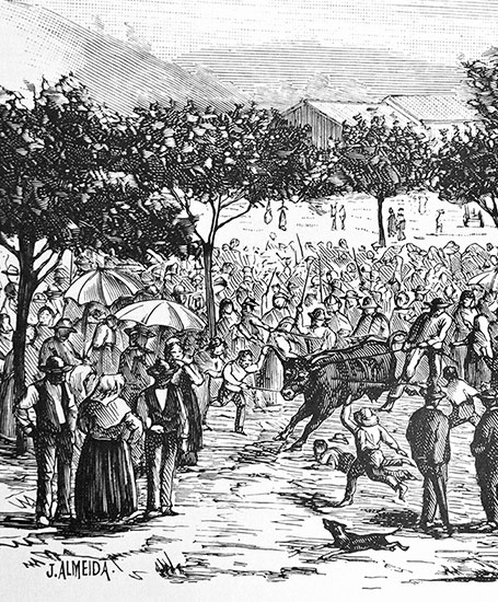 Criação da Santa Casa da Misericórdia